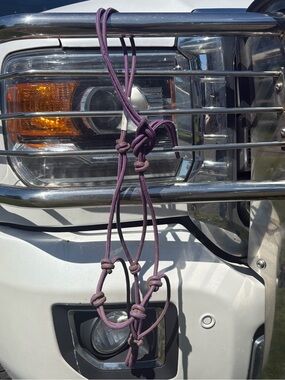 Purple Knotted Clinton Anderson S halter
